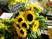 Sunflowers at the market