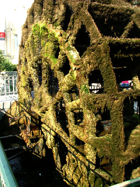 Moss covered water wheel at L'Isle sur la Sorgue